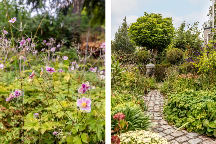 Foto 55 van Dwarsweg 14