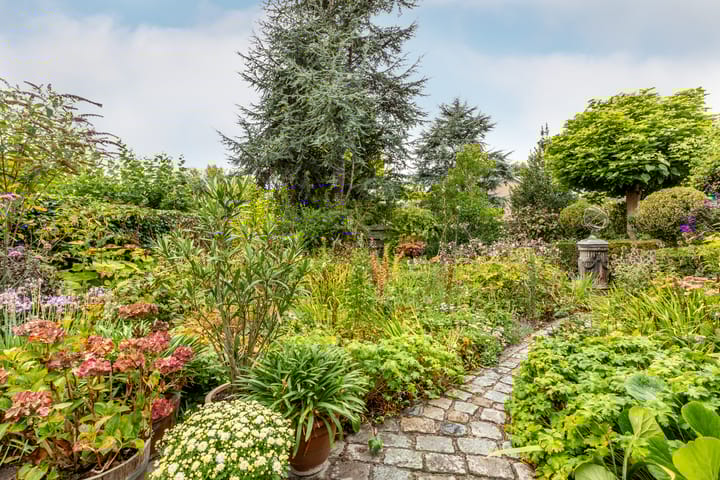 Foto 57 van Dwarsweg 14