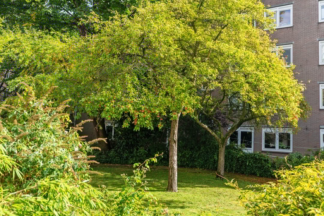 Foto 32 van Jacob van Lennepstraat 237-D