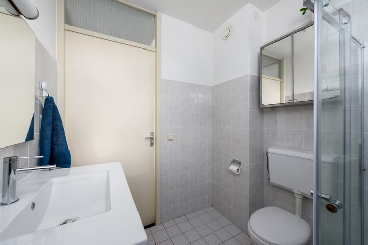 Foto 40 van Holbeinstraat 113