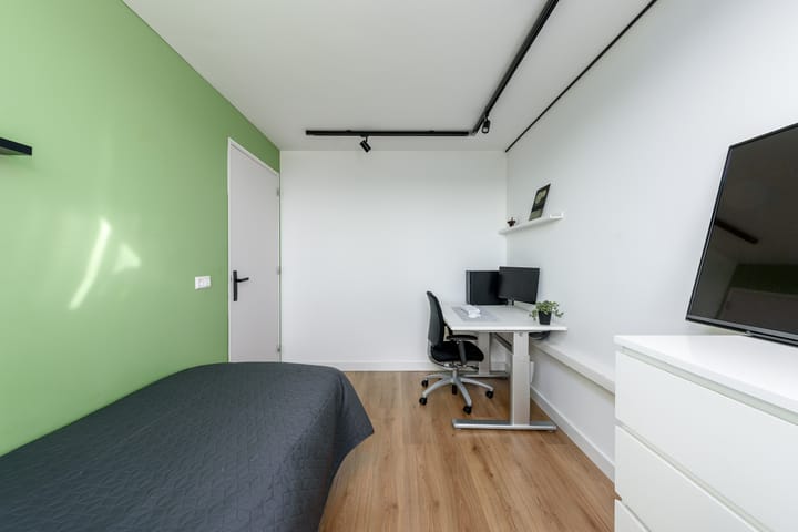 Foto 46 van Holbeinstraat 113