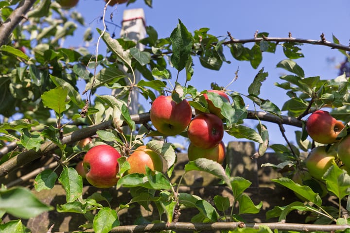 Foto 34 van Utrechtseweg 14