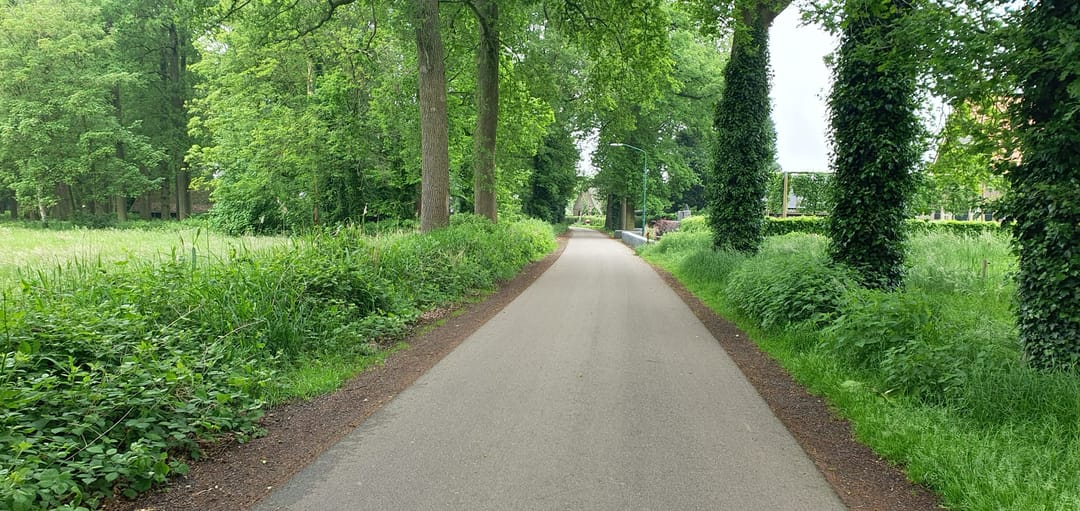 Foto 43 van Boschlaan 1