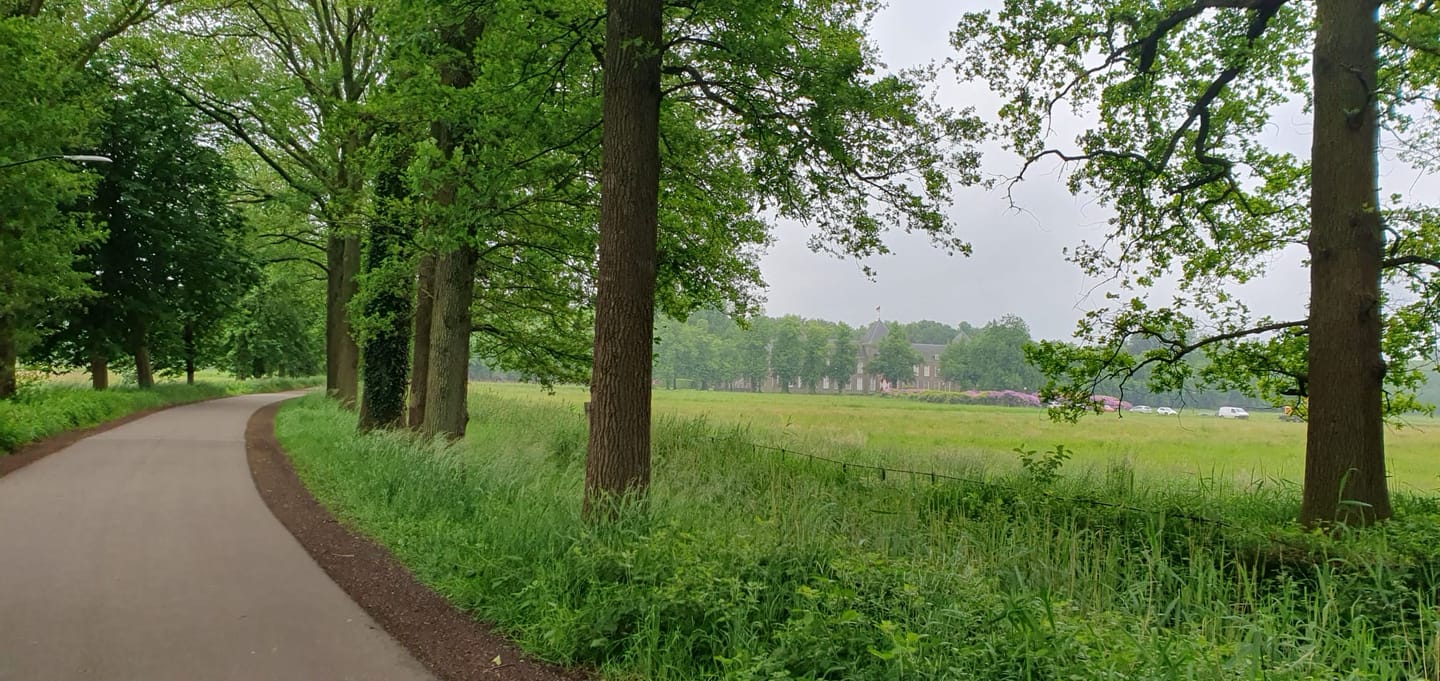 Foto 44 van Boschlaan 1