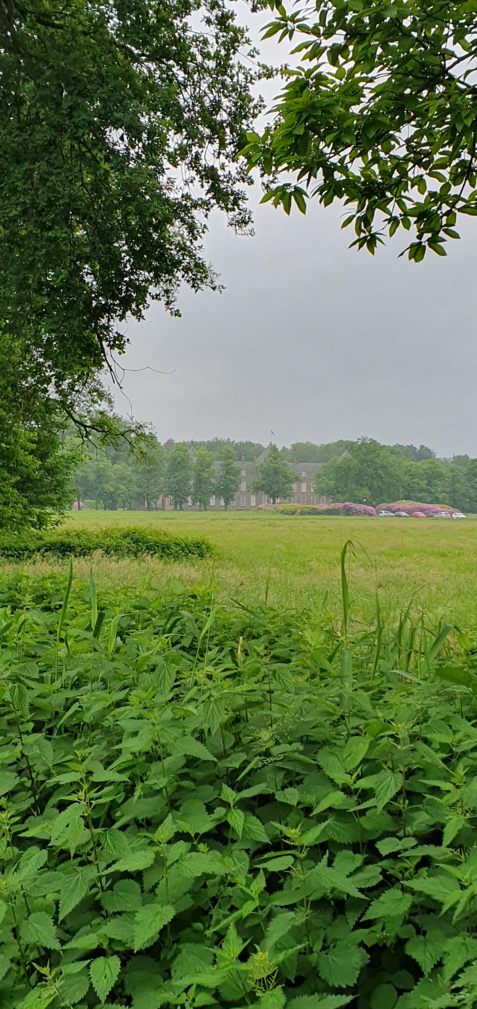 Foto 47 van Boschlaan 1