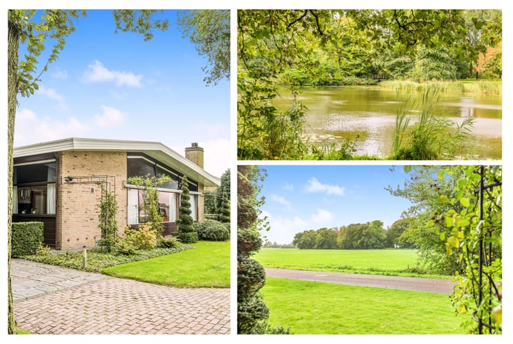 Foto 2 van De Nieuwe Plantagie 6