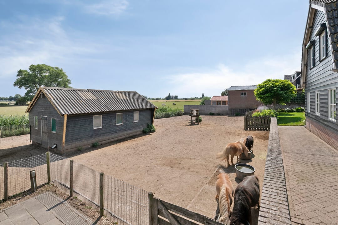 Photo 31 of Maasdijk 37