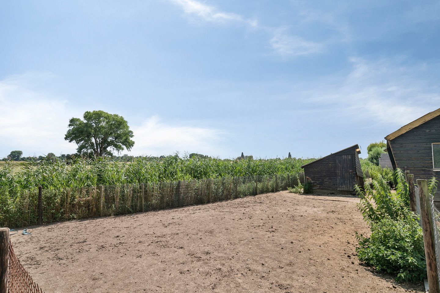 Photo 34 of Maasdijk 37