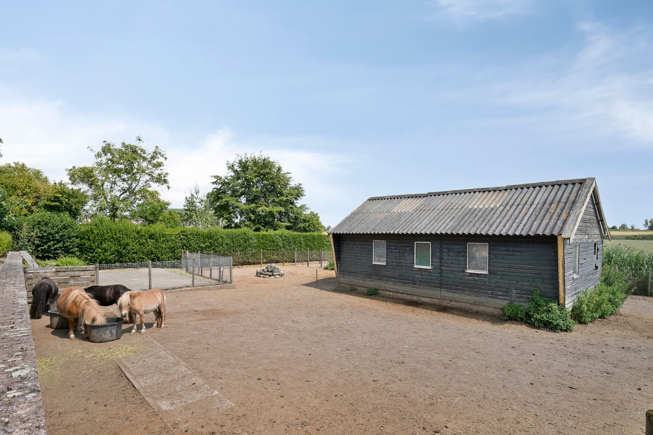Photo 36 of Maasdijk 37