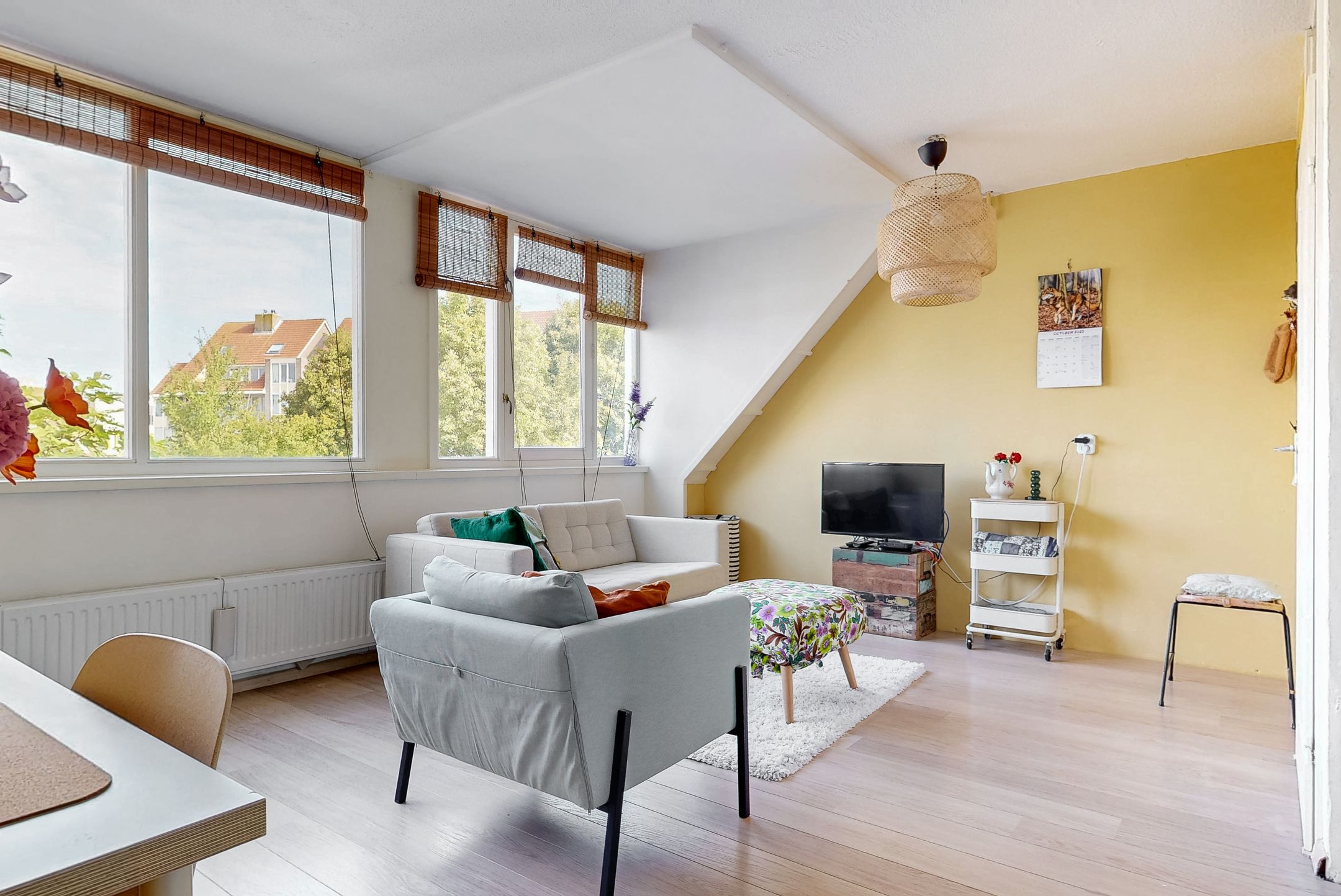 Foto 6 van Karveel 20