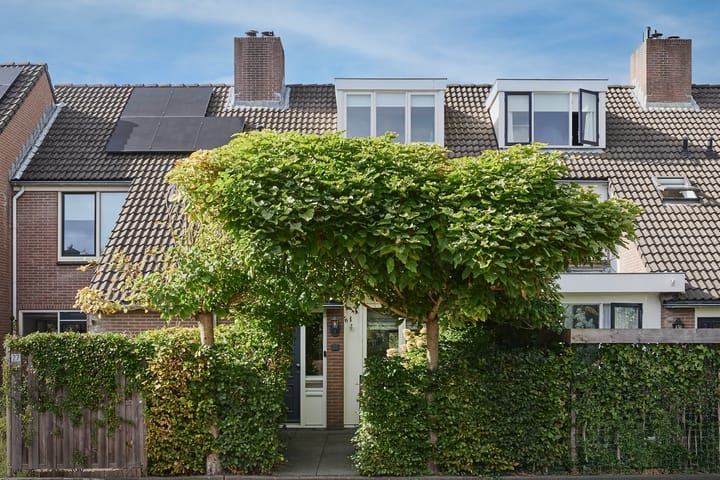 Photo 1 of Witte de Withlaan 25