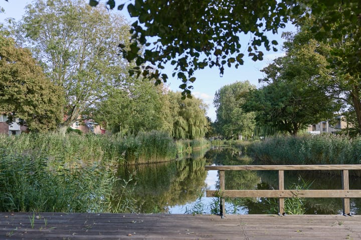 Photo 5 of Witte de Withlaan 25