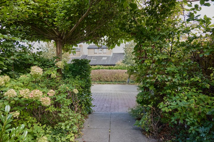 Photo 7 of Witte de Withlaan 25