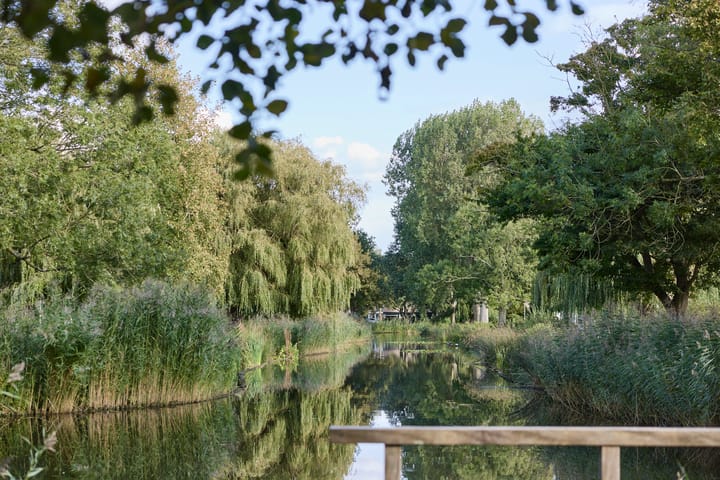 Photo 48 of Witte de Withlaan 25