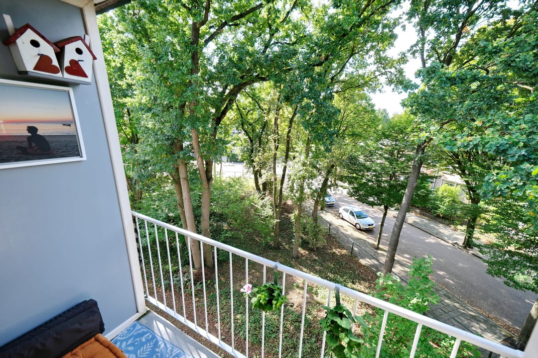 Photo 7 of Anna van Burenlaan 202