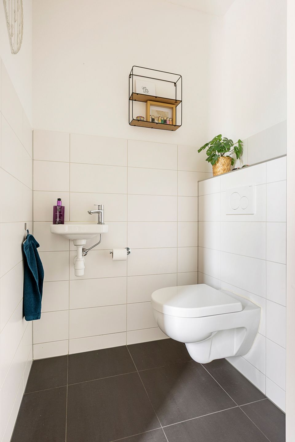 Foto 23 van Meerkoet 25