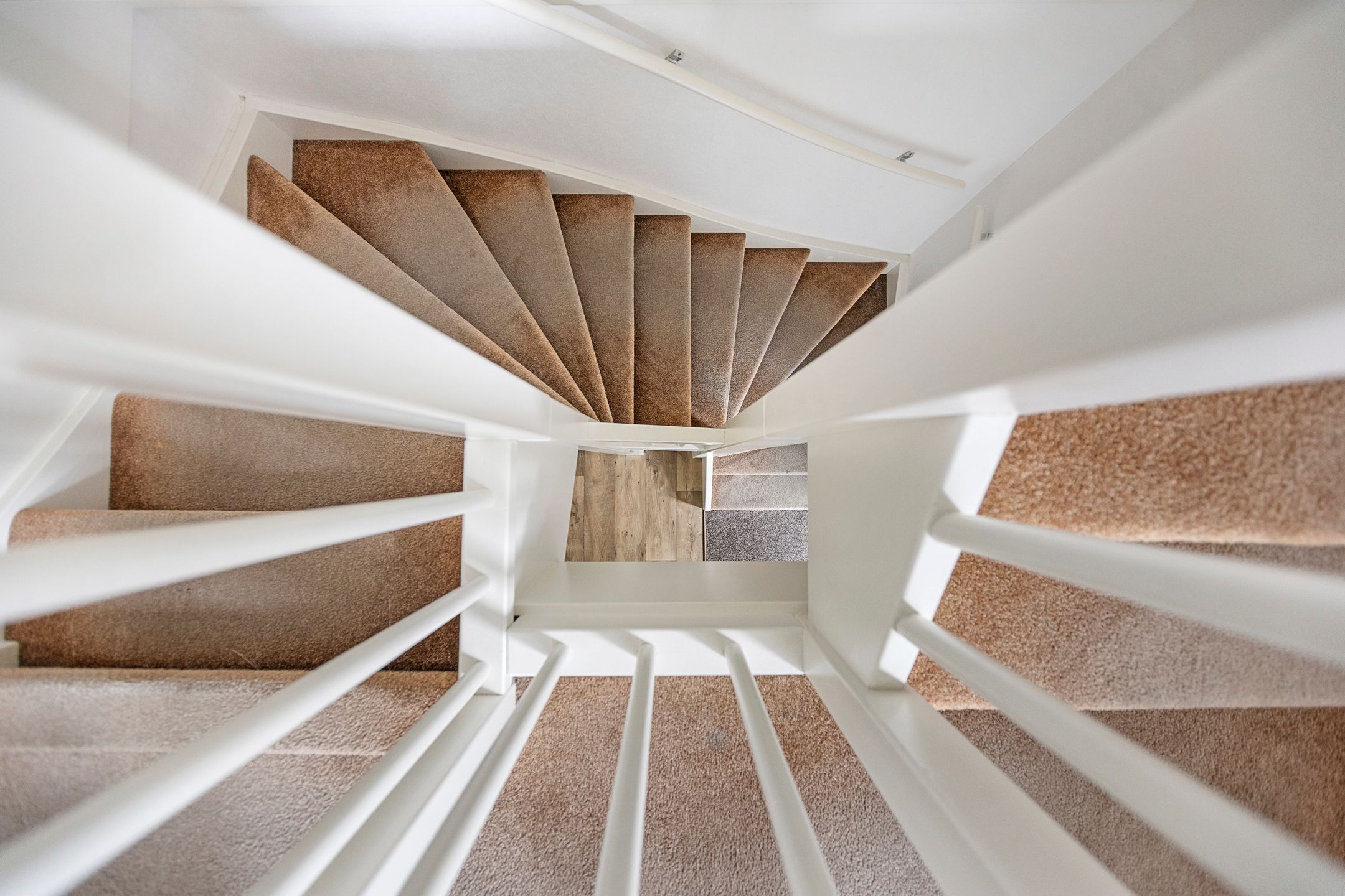 Foto 24 van Meerkoet 25