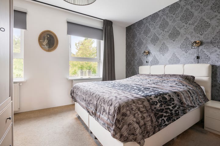 Foto 25 van Meerkoet 25