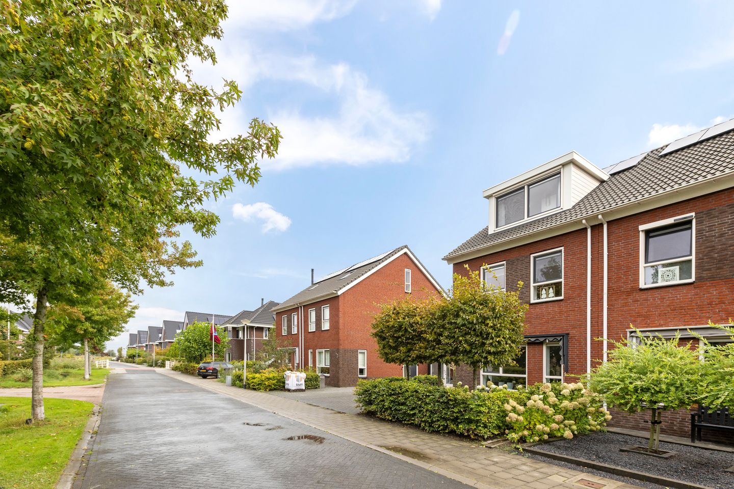 Foto 44 van Meerkoet 25