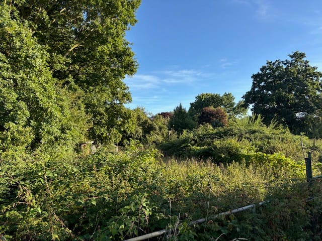 Photo 3 of Kerkstraat