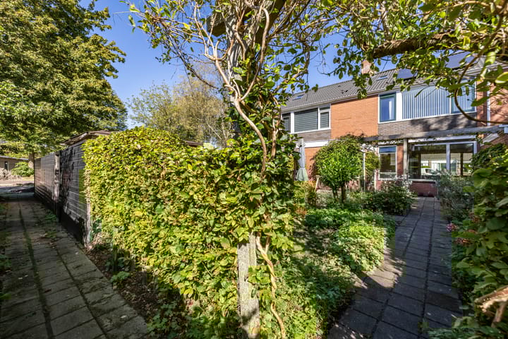 Foto 45 van Singel 23