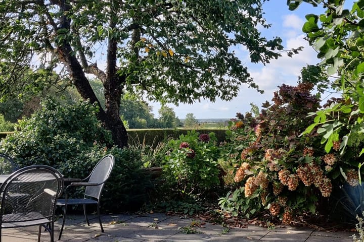 Foto 55 van Landstraat 2