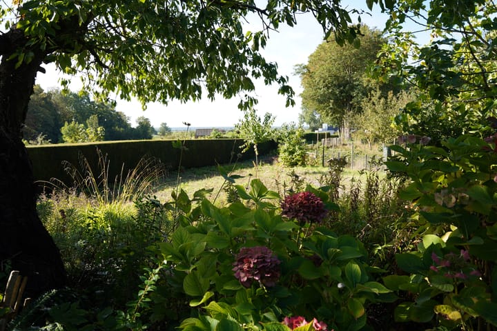 Foto 56 van Landstraat 2