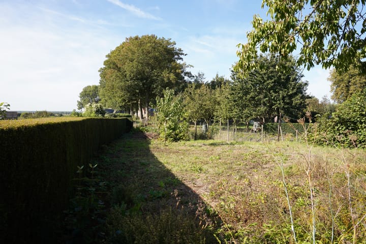 Foto 59 van Landstraat 2