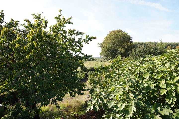 Foto 61 van Landstraat 2