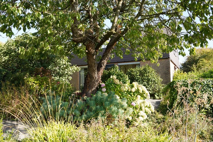 Foto 62 van Landstraat 2