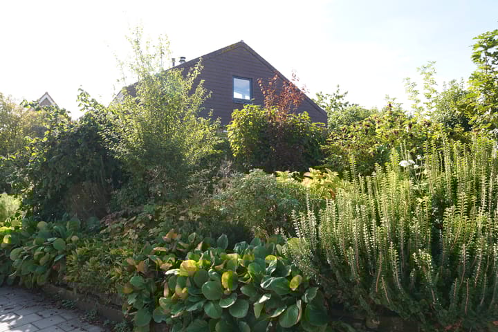 Foto 63 van Landstraat 2