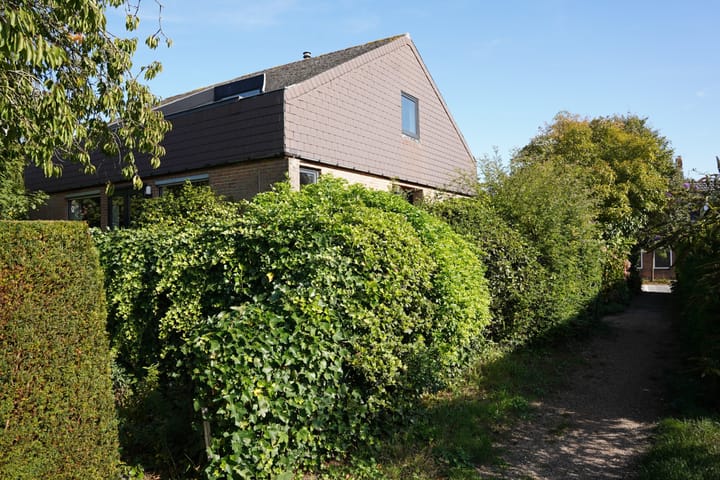 Foto 64 van Landstraat 2