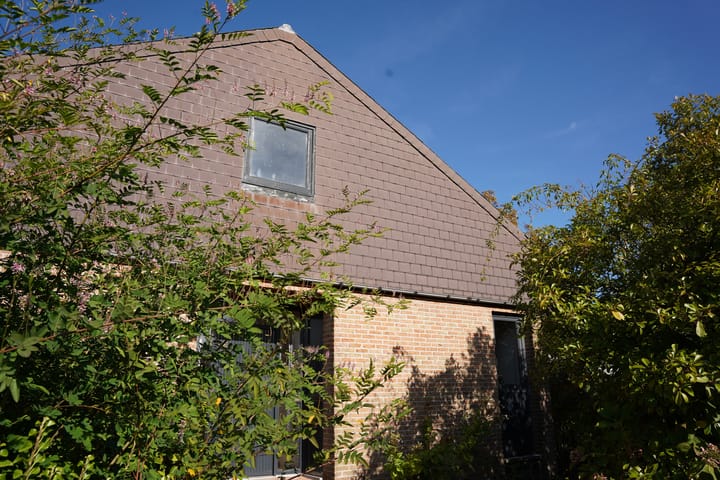 Foto 65 van Landstraat 2