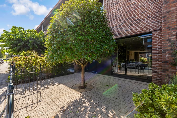 Foto 40 van Sleutelbloem 3