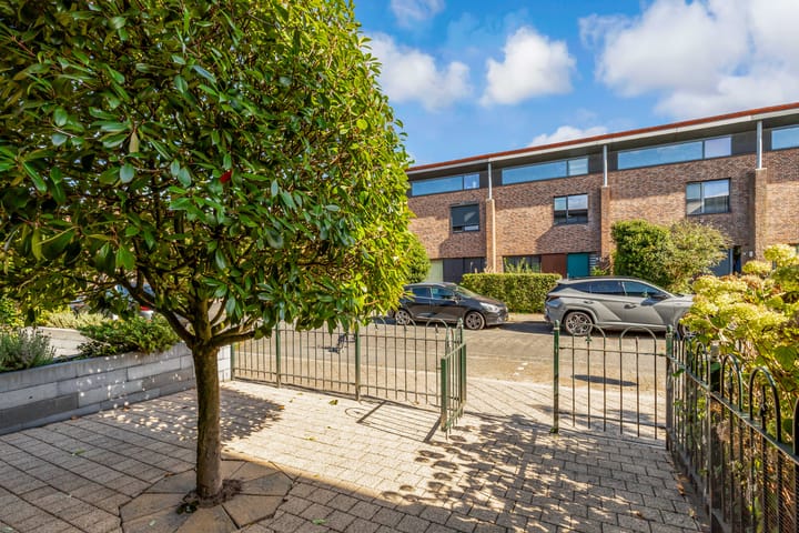 Foto 41 van Sleutelbloem 3