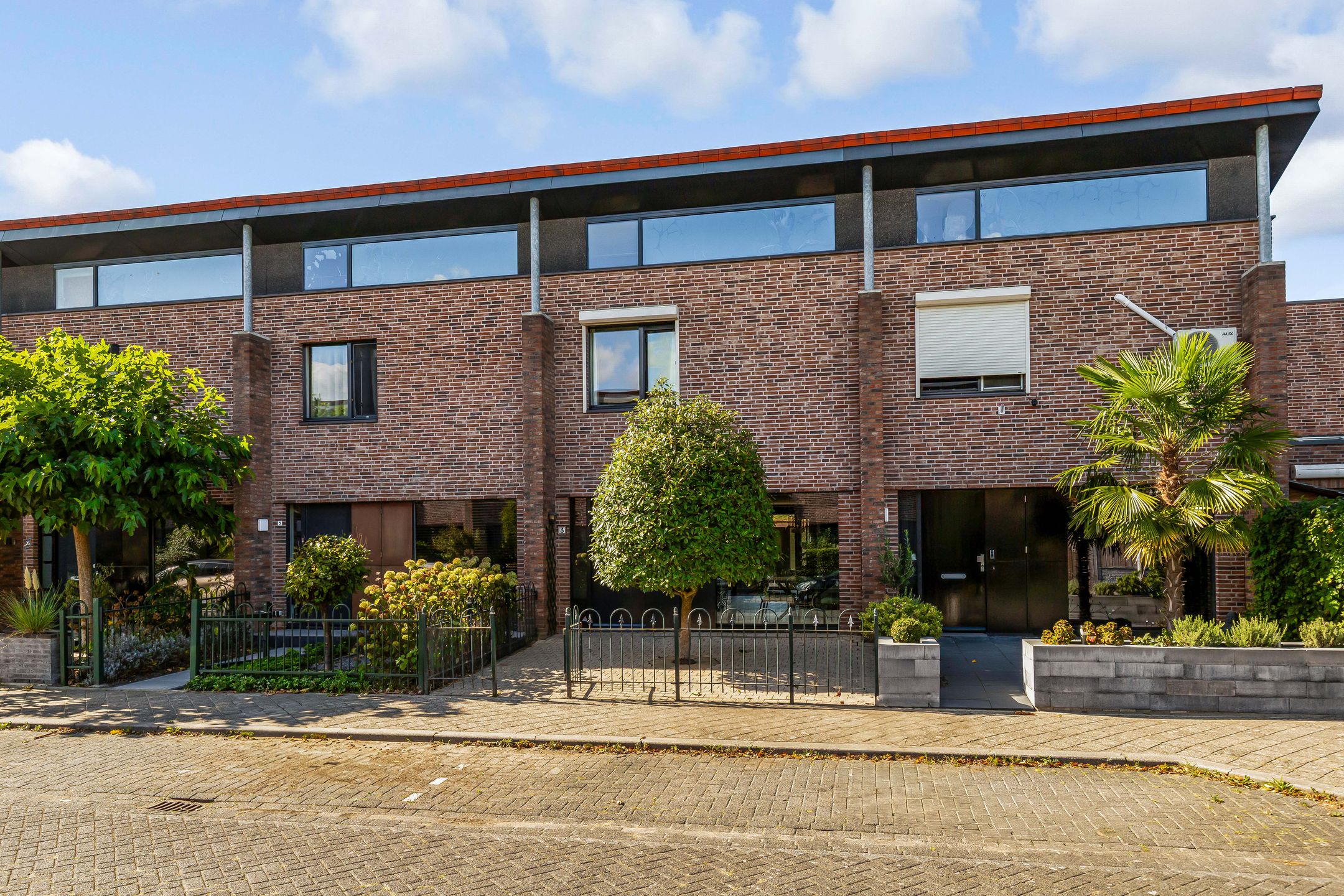 Foto 42 van Sleutelbloem 3