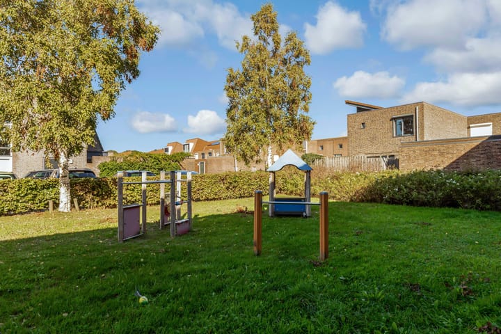 Foto 45 van Sleutelbloem 3