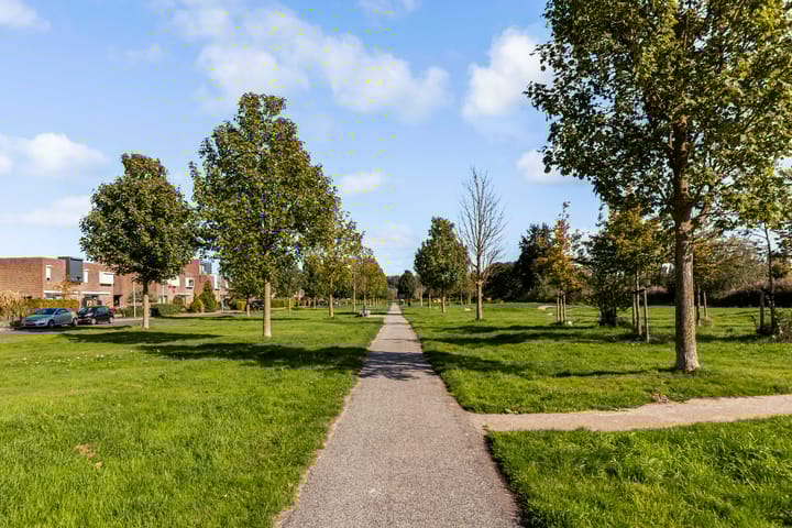 Foto 46 van Sleutelbloem 3