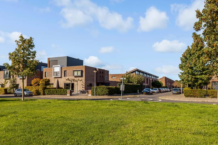 Foto 48 van Sleutelbloem 3