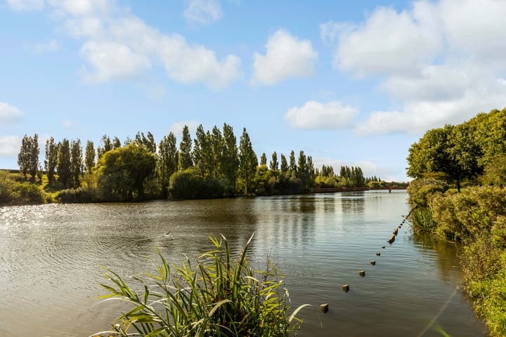 Foto 50 van Sleutelbloem 3