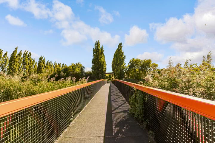 Foto 51 van Sleutelbloem 3