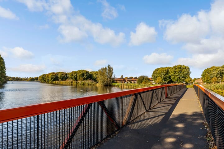 Foto 53 van Sleutelbloem 3