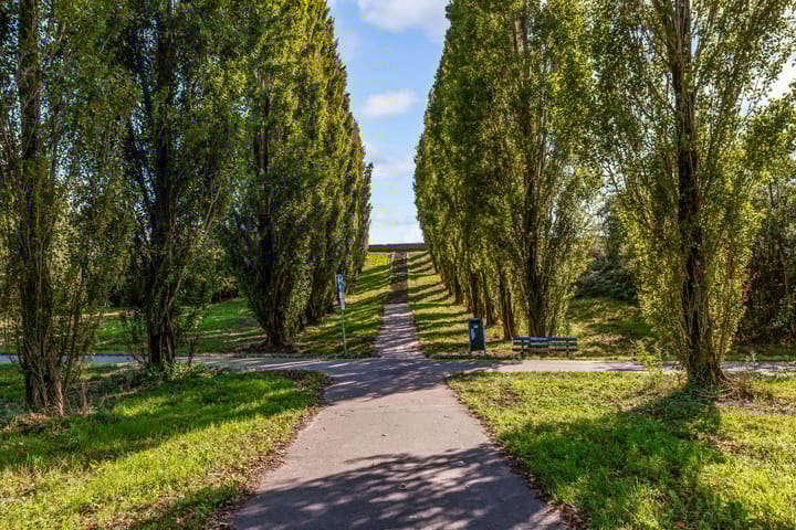 Foto 54 van Sleutelbloem 3