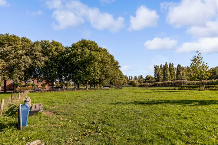 Foto 55 van Sleutelbloem 3