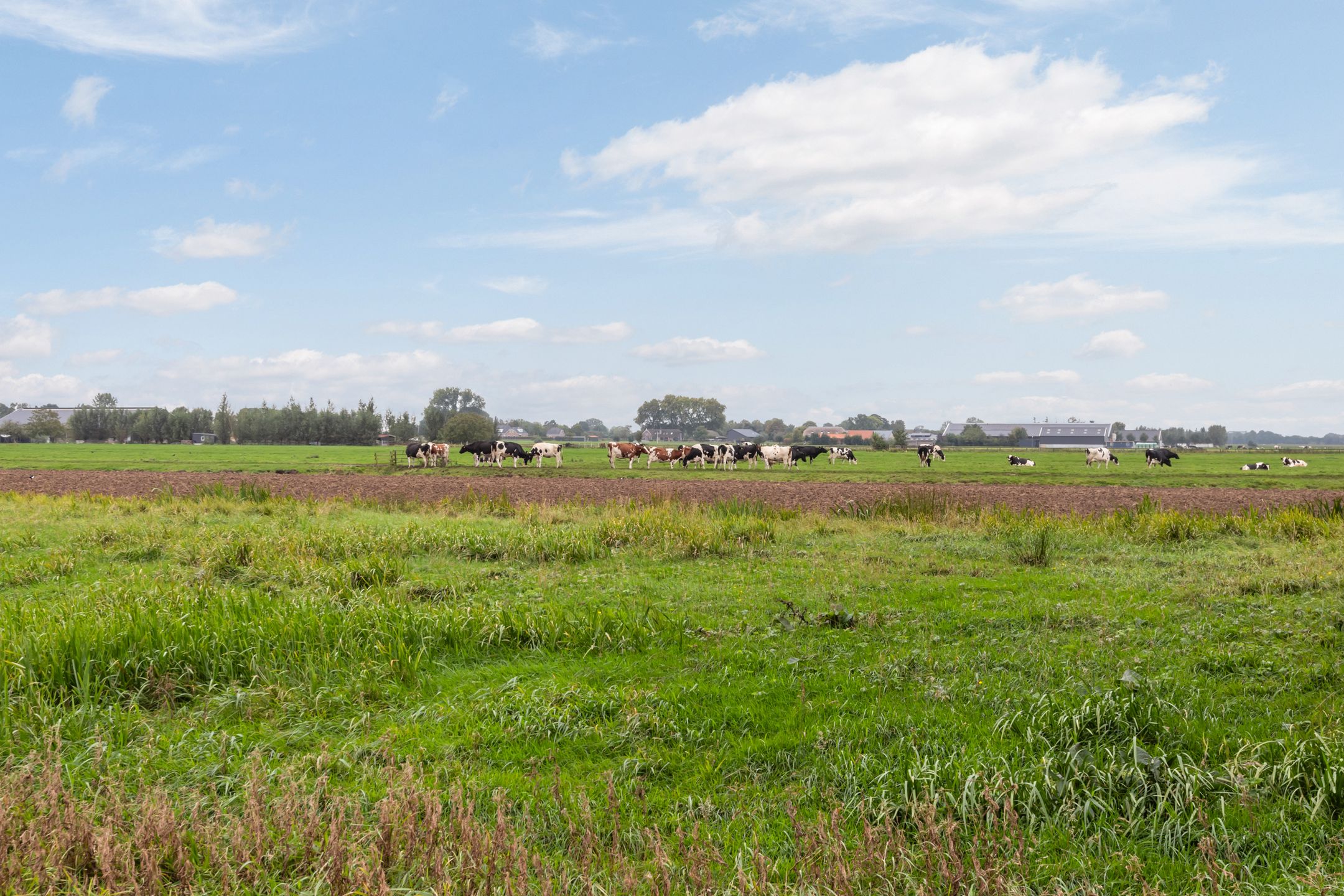 Photo 24 of Oude Touwfabriek 20