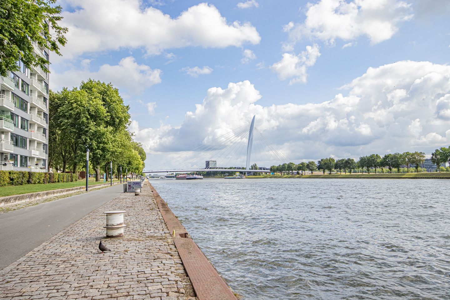 Foto 20 van Rooseveltlaan 536