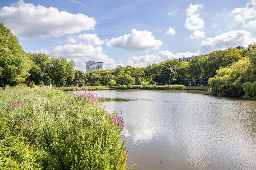 Foto 23 van Rooseveltlaan 536