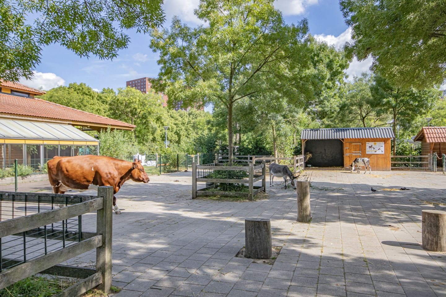 Foto 25 van Rooseveltlaan 536