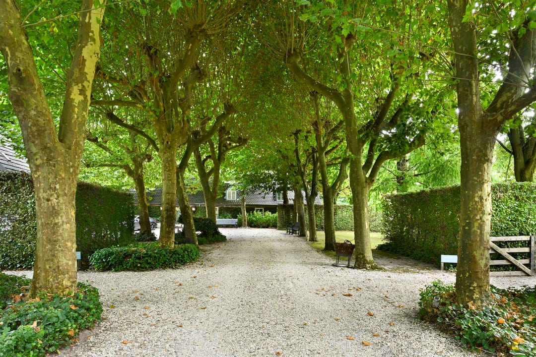 Photo 7 of Verlengde Heistraat 5