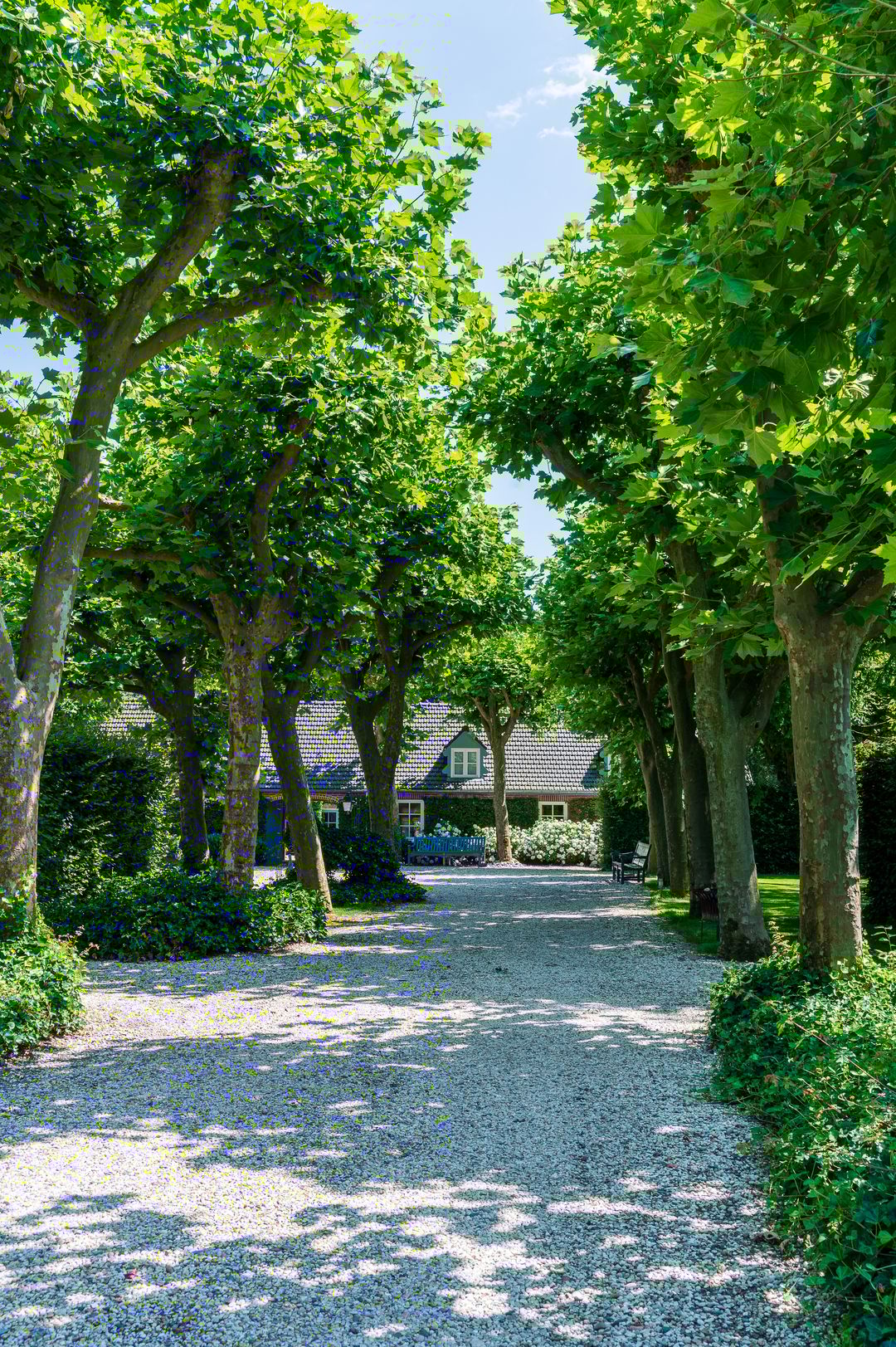 Photo 8 of Verlengde Heistraat 5